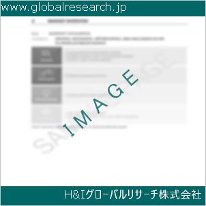 グローバルリサーチ調査資料のイメージ